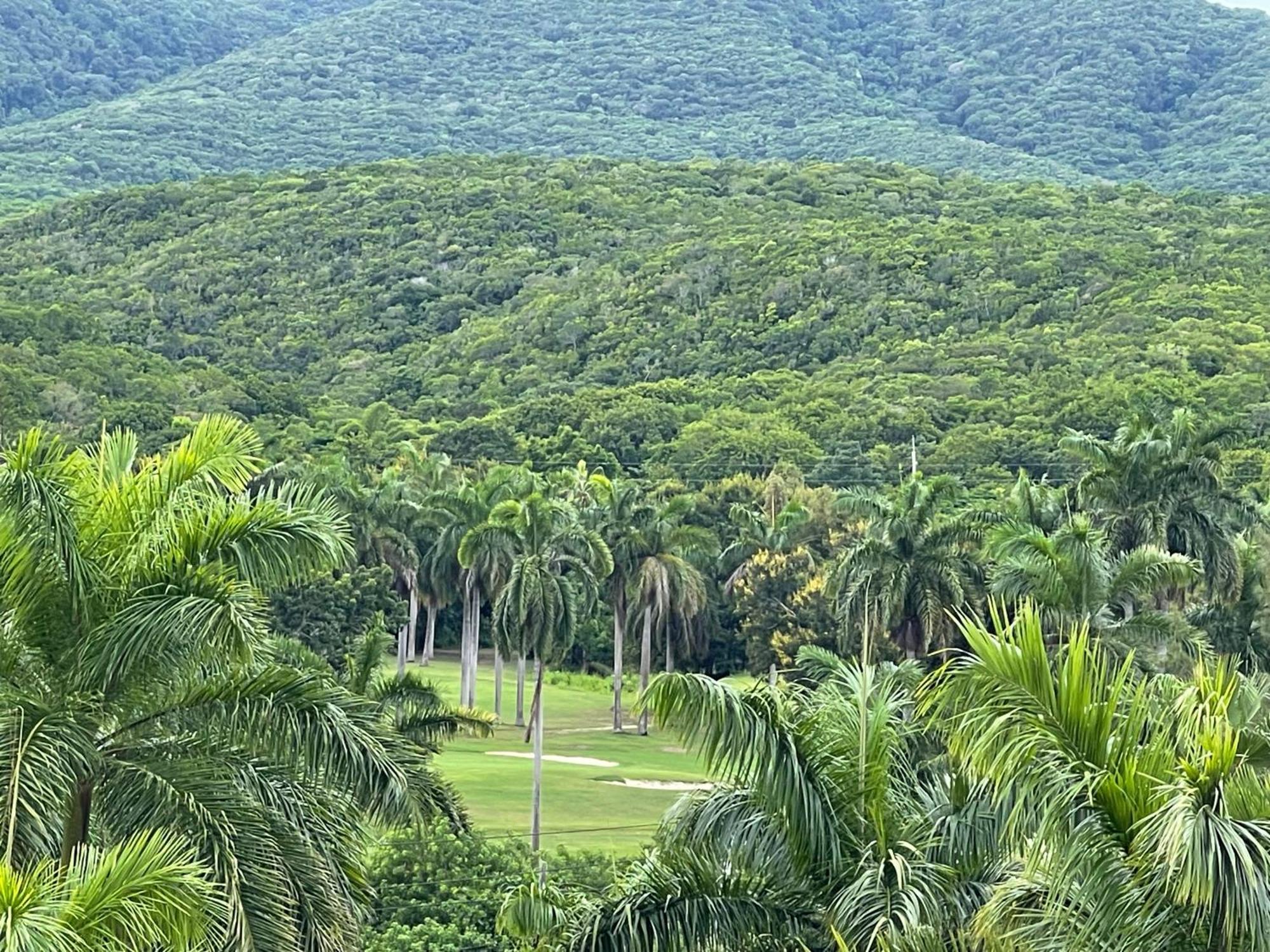 Marriott Seacastles E22, Montego Bay 아파트 호텔 외부 사진